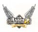 Bande-annonce des Anges de la télé-réalité 2 sur NRJ 12