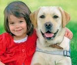 Stéphane Bern se mobilise pour la Fédération Française des Associations de Chiens guides d'aveugles en soutenant la campgane Gagnez en autonomie. 
