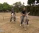 César et Denis dans Pékin Express : la route des grands fauves sur M6 le mercredi 8 juin 2011