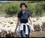 Rachida Dati, le 5 juillet 2011, dans les alpages avec les moutons !