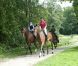 Le 28 juillet 2011, le prince Frederik et la princesse Mary de Danemark se changeaient les idées en se baladant à cheval dans les environs du palais Grasten, au lendemain de l'hommage rendu aux Norvégiens, meurtris par un double attentat sanglant (76 morts) le 22 juillet, en la cathédrale de Copenhague.
