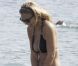 Bar Refaeli profite de ses amis et dévoile son corps de rêve dans un bikini noir à Mykonos le 18 août 2011