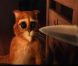 Antonio Banderas : Un chat potté qui va vous faire craquer
