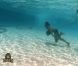 Jeu de confort dans Koh Lanta Raja Ampat