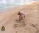 Gégé tente d'apporter à manger sur le camp dans Koh Lanta Raja Ampat