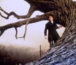 Sleepy Hollow, la légende du cavalier sans tête. La forêt, entièrement reconstituée en studio, était si réaliste que des insectes y auraient élu séjour durant le tournage. 