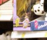 Angelina Jolie chez Toys' R Us