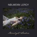Nolwenn Leroy : Sa reprise de Moonlight Shadow, version celte