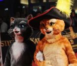 La première du film Le Chat Potté à Berlin le 22 novembre 2011