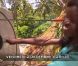 Epreuve de tir à l'arc dans la bande-annonce de Koh Lanta - Raja Ampat, diffusée le vendredi 2 décembre 2011 sur TF1