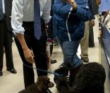 Barack Obama s\'est lancé dans une séance shopping à Alexandria en Virginie en compagnie de son chien Bo. Le 21 décembre 2011