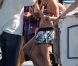 Ashley Tisdale pose pour la marque Op Surf, le vendredi 10 février à  Venice Beach. Un shooting auquel participaient également Sarah Hyland,  Austin Stowell, et Matt Lanter.
