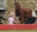 Kate Middleton, duchesse de Cambridge, assiste avec son chien Lupo à un match caritatif de polo auquel les princes William et Harry participent, à Westonbirt, le 17 juin 2012. Ici avec la petite Savannah, fille de Peter et Autumn Phillips