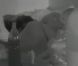 Capucine et Yoann ont-ils couché ensemble dans Secret Story 6 ?