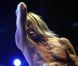 Iggy Pop le 8 août 2012 au Festival de la Foire aux Vins de Colmar.