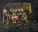 Mariage de Natalie Portman et Benjamin Millepied le 4 août 2012 à Big Sur en Californie