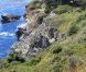 Cadre paradisiaque du mariage de Natalie Portman et Benjamin Millepied le 4 août 2012 à Big Sur en Californie