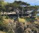 Cadre paradisiaque du mariage de Natalie Portman et Benjamin Millepied le 4 août 2012 à Big Sur en Californie