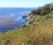Cadre paradisiaque du mariage de Natalie Portman et Benjamin Millepied le 4 août 2012 à Big Sur en Californie