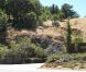 Cadre paradisiaque du mariage de Natalie Portman et Benjamin Millepied le 4 août 2012 à Big Sur en Californie