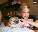 Tori Spelling et son carlin Mimi LaRue