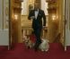Vidéo de lancement de la cérémonie d'ouverture des Jeux Olympiques 2012, avec Elizabeth II, ses corgis et Daniel Craig - Daniel Craig et les corgis