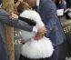  Lady Gaga : sublime en fourrure blanche à la sortie de chez Séphora où elle a présenté son nouveau parfum Fame sur les Champs-Elysées le 23 septembre 2012 
