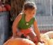 Jennifer Garner et Seraphina sur un marché fermier à Ventura, le 18 octobre 2012 - Seraphina cherche une citrouille