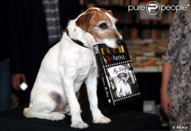 Le chien Uggie fait la promotion de ses mémoires, Uggie : The Artist, à Londres, le 30 octobre 2012