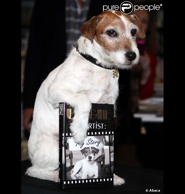 L'adorable Uggie fait la promotion de ses mémoires, Uggie : The Artist, à Londres, le 30 octobre 2012