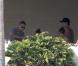 George Clooney, Cindy Crawford avec leurs amoureux : Bain de soleil et bon repas
