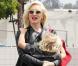 Gwen Stefani : Moment de simplicité avec son fils Zuma, fidèle compagnon