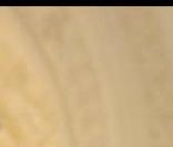 Patrick Demarchelier