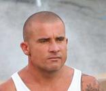 REPORTAGE PHOTOS : Dominic Purcell de Prison Break soulève son T-shirt... Et là, c'est le drame !