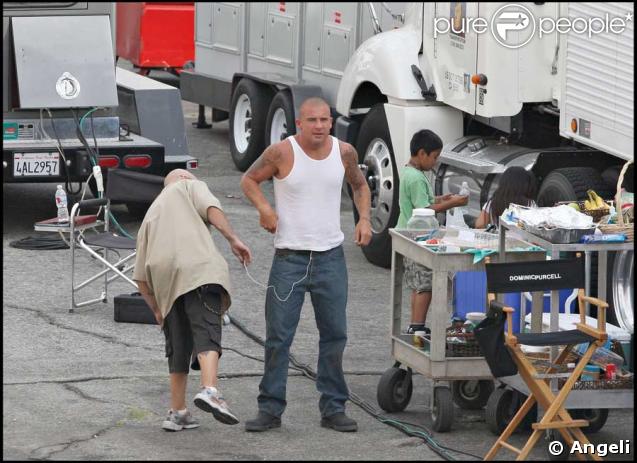 Dominic Purcell
