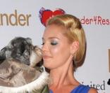 Katherine Heigl... oh la belle bleue !