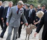 Le prince Charles et Camilla Parker Bowles au temple bouddhiste de Todai-ji