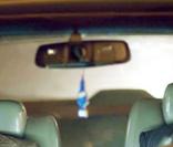 Patrick Swayze dans The Beast