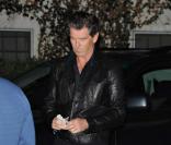 Pierce Brosnan