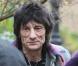 PHOTOS : Ronnie Wood des Rolling Stones, en sortie avec sa très... très jeune compagne !