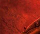 Le classement 2007 des films contenant le plus d'anomalies est sorti...