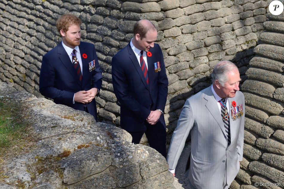 CASA REAL BRITÁNICA - Página 13 3191560-le-prince-charles-prince-de-galles-dav-950x0-1