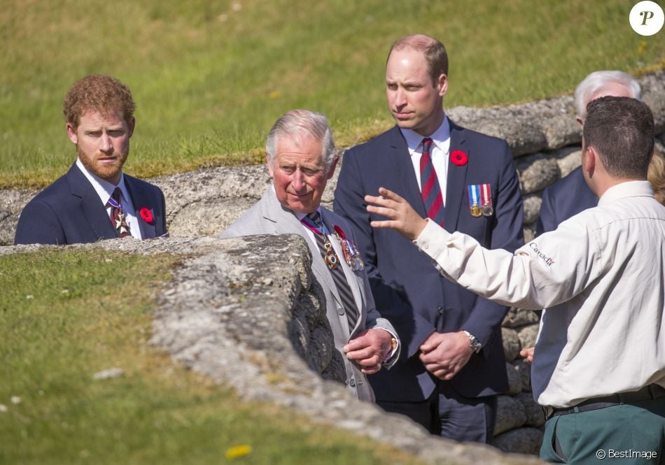 CASA REAL BRITÁNICA - Página 13 3191572-le-prince-charles-prince-de-galles-le-950x0-1