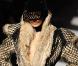 Le défilé automne-hiver 2009 de Jean-Paul Gaultier