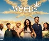  Weeds   