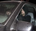 Jared Leto dans une voiture très sale avec des amis à Los Angeles le 4 mai 2009