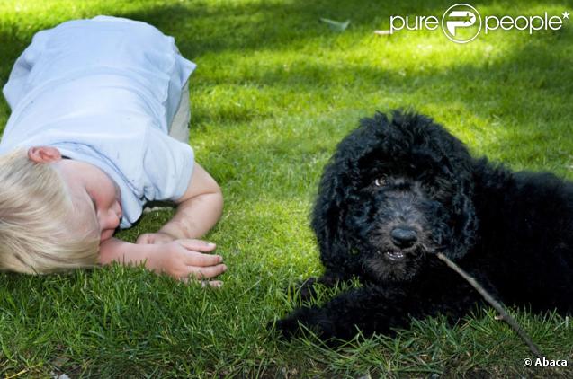 La famille princière de Norvège avec leur nouveau chien Milly Kakao le 28 juin 2009 à Oslo : Sverre Magnus 