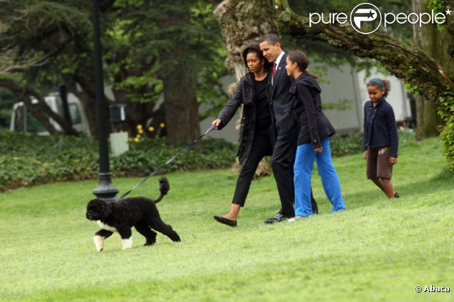 Bo, le chien de la famille présidentielle américaine avec Barack Obama, Michelle et leurs deux filles