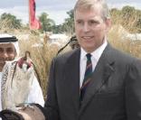 Le prince Andrew, duc d'York, au Festival international de dressage de faucons