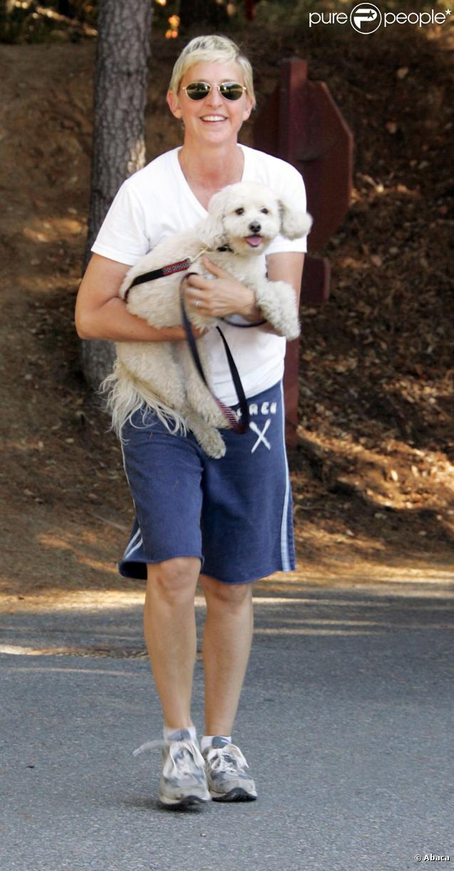 Portia De Rossi et Ellen DeGeneres promènent leurs chiens à Hollywood